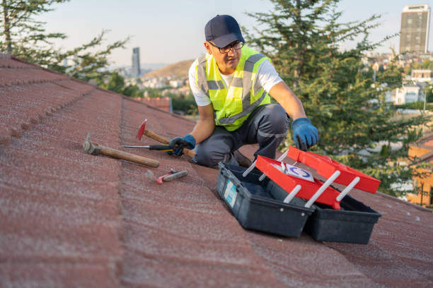 Roofing Services You Can Trust